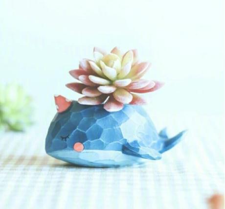 某宝上很便宜的正品是真的吗,某宝上超级便宜的东西