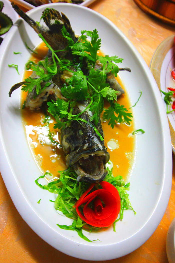 带着寻宝记游遍祖国大好河山,带着挖机去海边度假