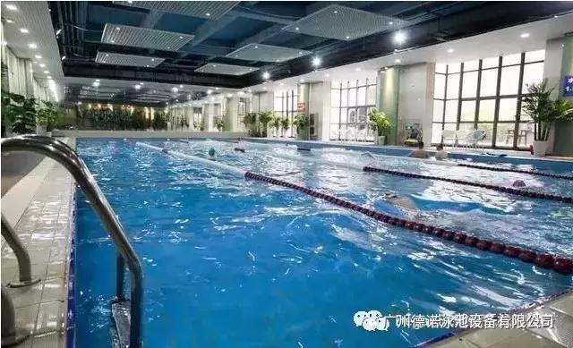 游泳池的水居然可以饮用,传说中的游泳池是什么