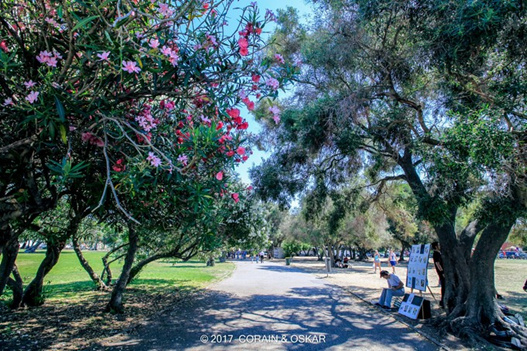 追逐落日葡萄牙的小火车+出国网络小攻略