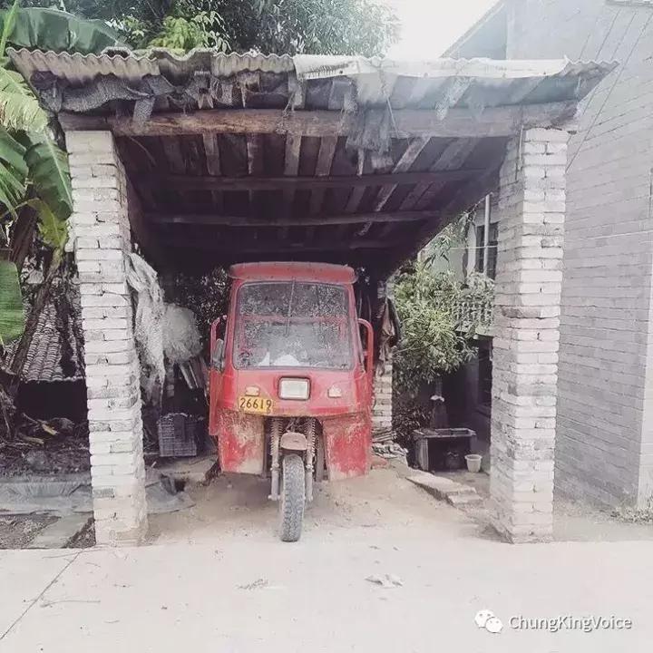 重庆桃花岛和中坝岛,重庆最大中坝岛