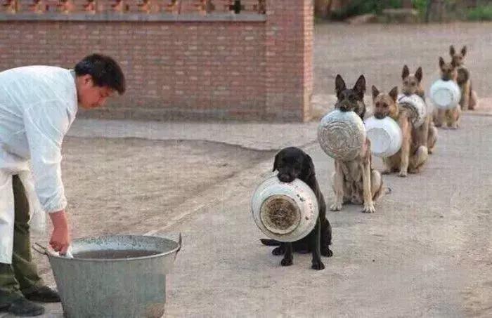 找一个舍得为你花钱的人,想找一个舍得给我花钱的男朋友