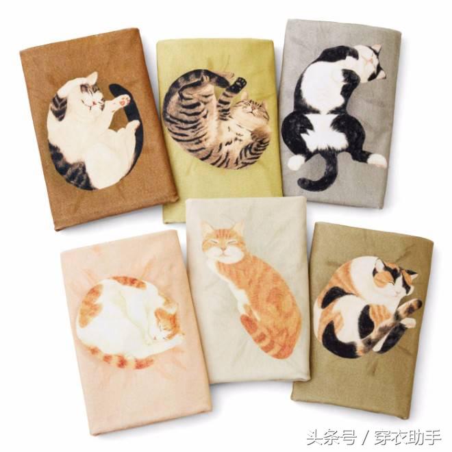 提升猫咪智商的玩具,提高猫咪的生活品质