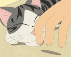 提升猫咪智商的玩具,提高猫咪的生活品质