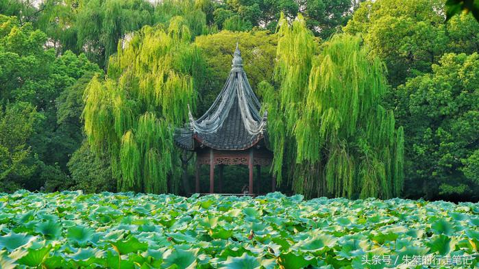 夜游南浔古镇感受江南水乡的美,江南六大古镇最值得一去的是南浔