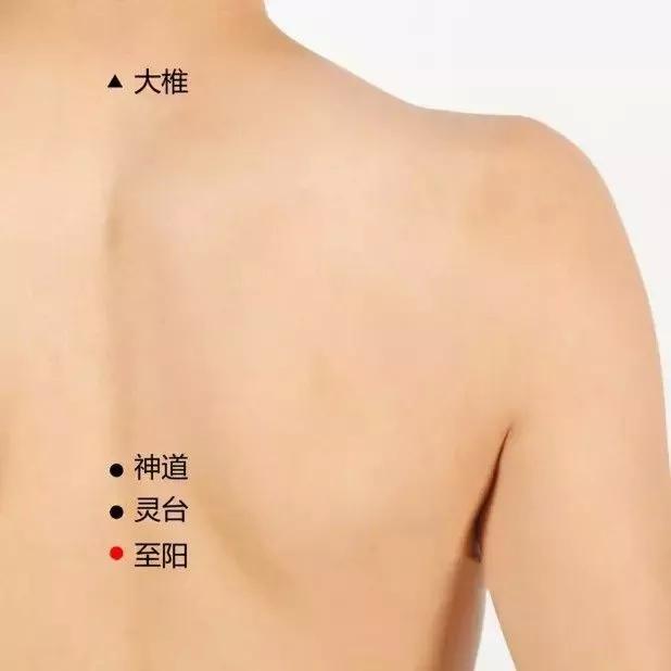 20个对身体有效黄金穴位,人体十大养生穴位