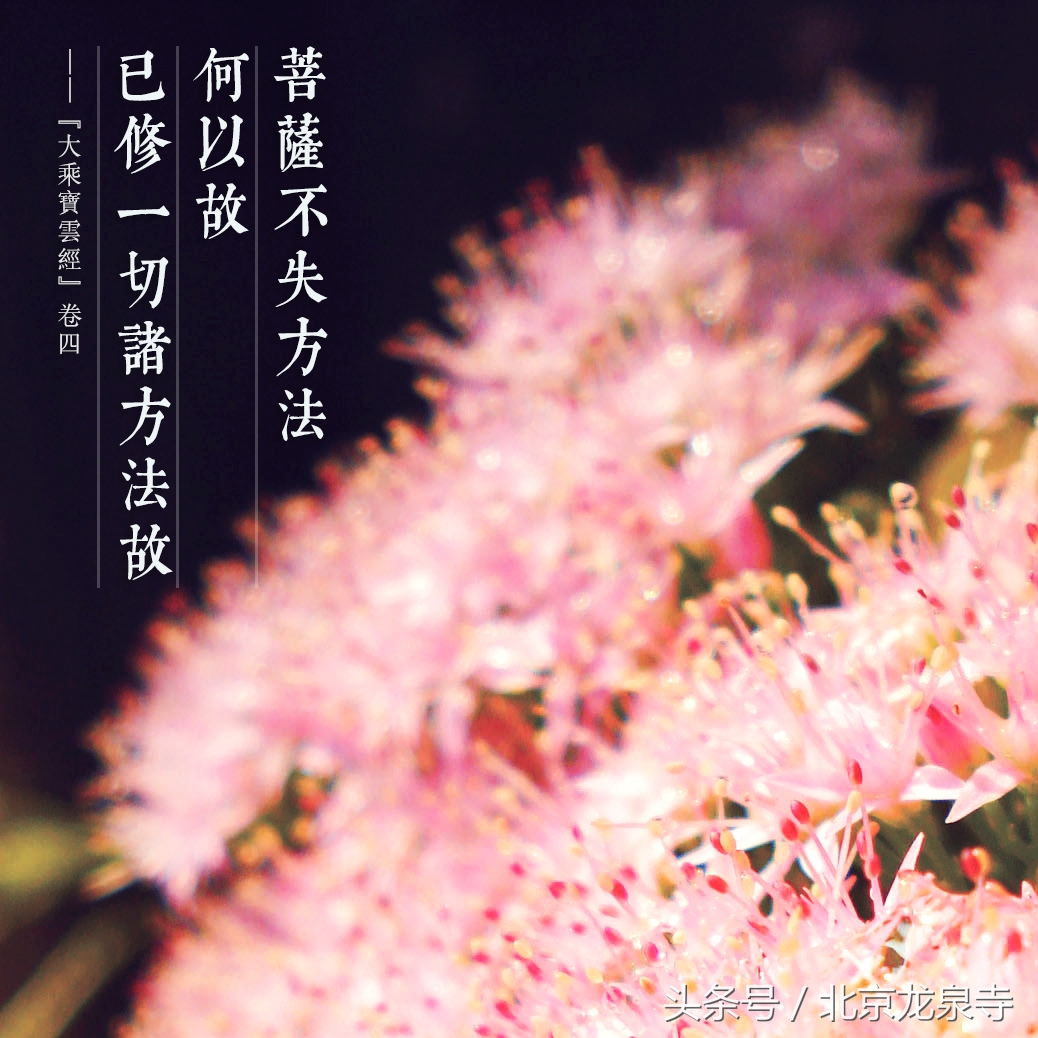 菩萨如何不堕入轮回,菩萨不二法门是什么意思