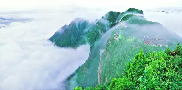 仙居美食餐厅推荐日料,仙居美食推荐