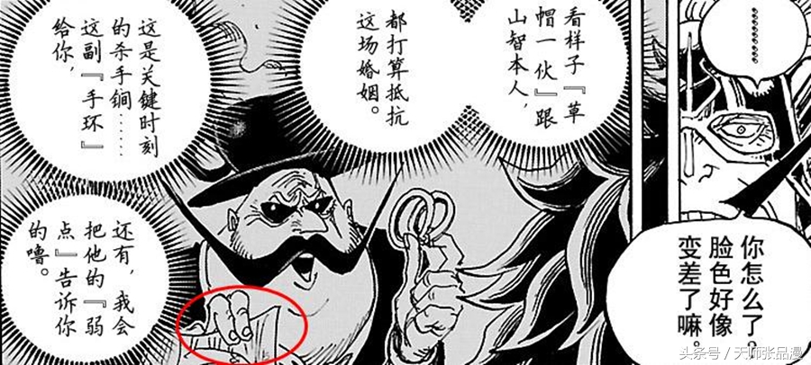 海贼王山治真正样子,海贼王中被山治打败的boss