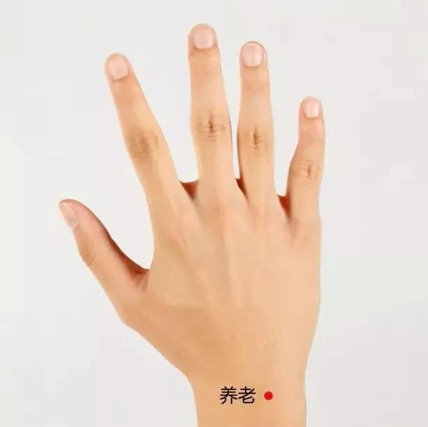 20个对身体有效黄金穴位,人体十大养生穴位