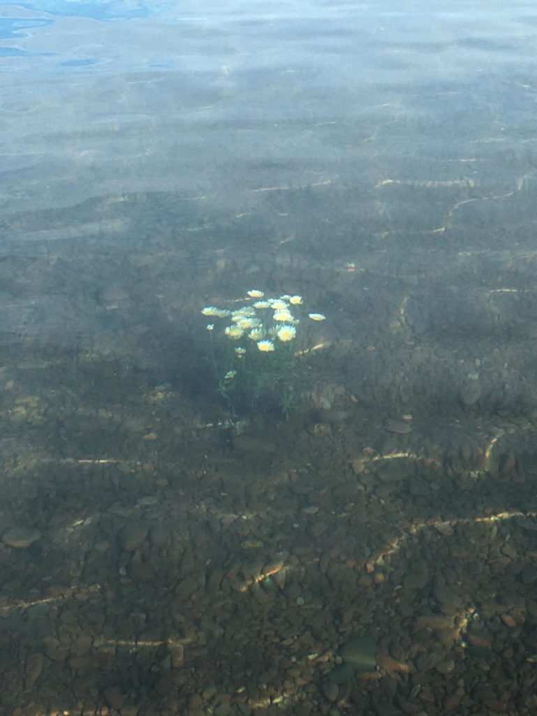 大自然神奇的自然现象,大自然中有哪些神奇的现象