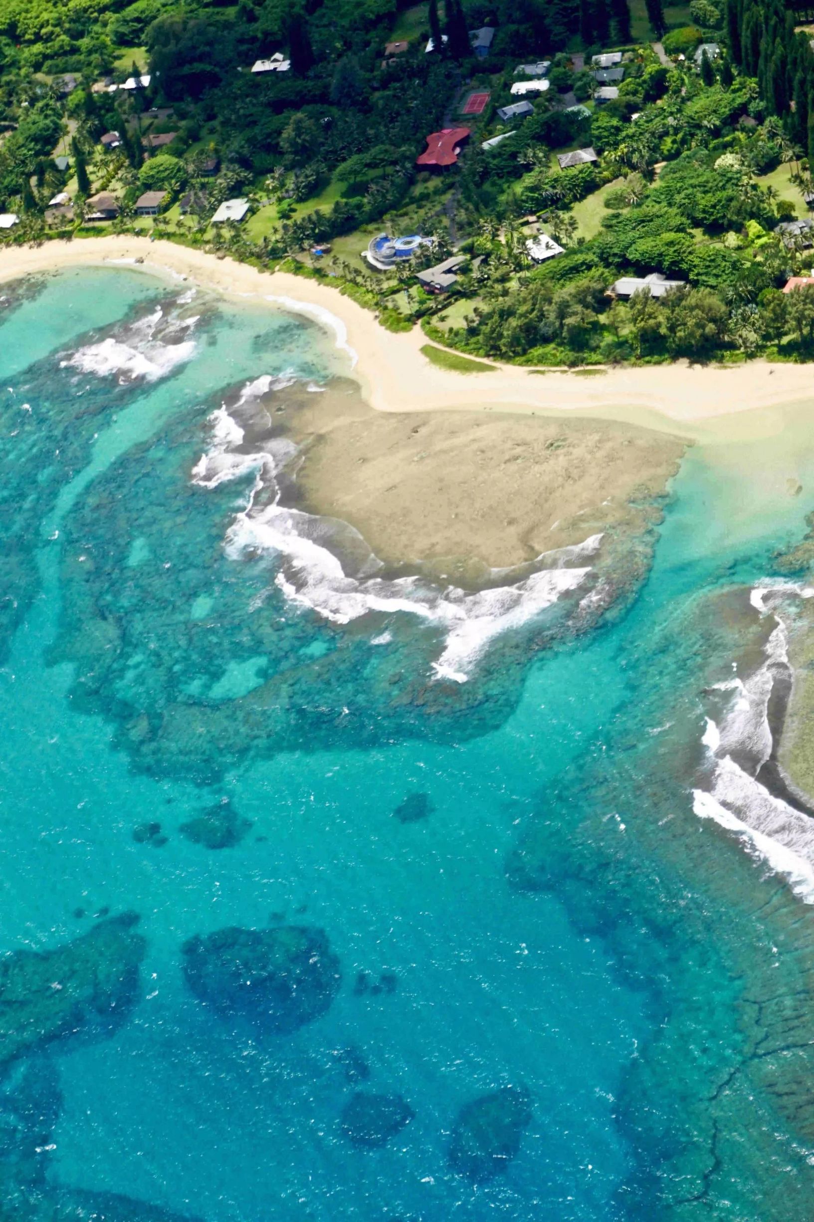 一封来自家乡的邀请函,夏威夷发来的邀请函