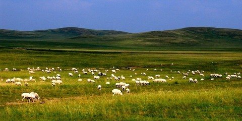 呼伦贝尔的历史简介,额尔古纳蒙古族发源地