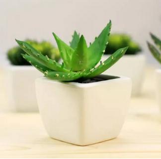 男生祛痘有效方法,祛痘最有效的方法