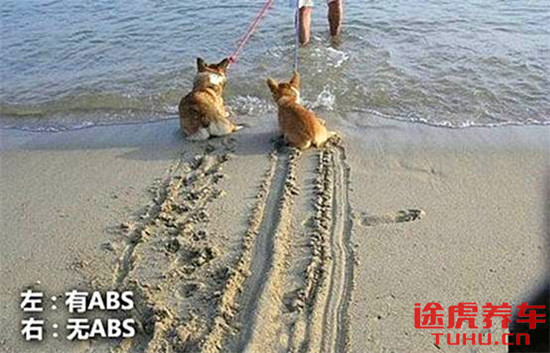 固特异轮胎大胎,固特异球形轮胎