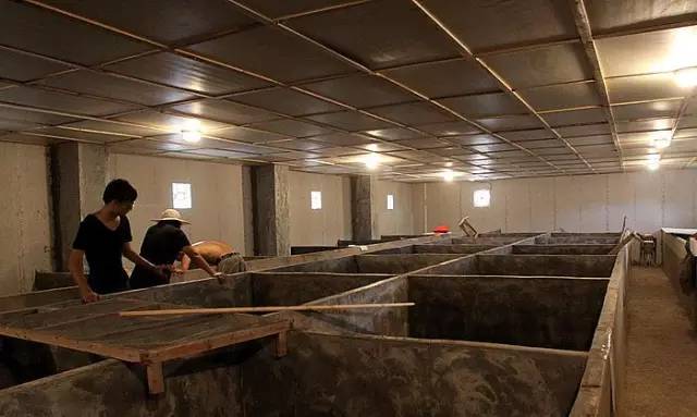 特种养殖蛇最新政策,特种养殖人笑话