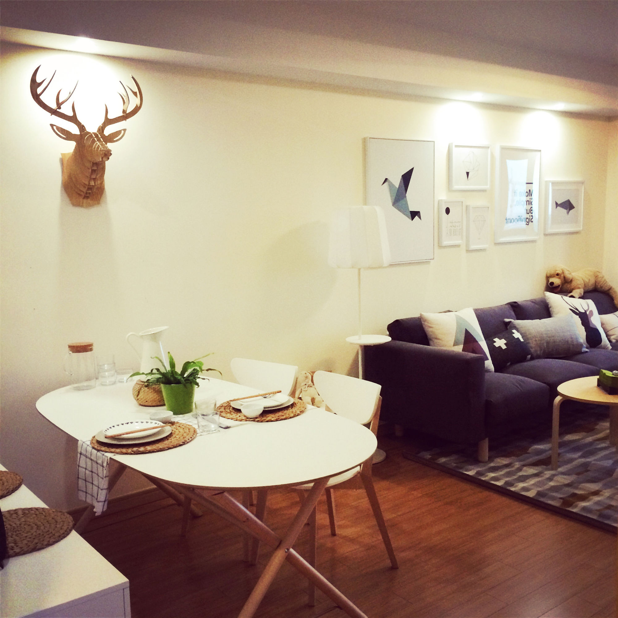 装修日记小户型30平,本地北欧风装修推荐