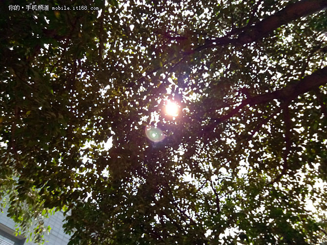 金立天鉴W909翻盖手机,金立天鉴w990s报价