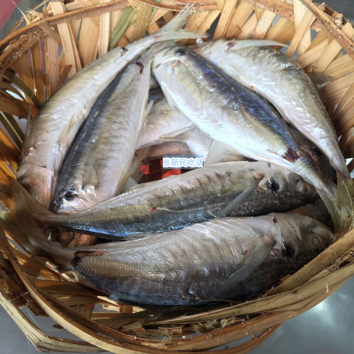 潮汕巴浪鱼和福建巴浪鱼的区别,巴浪鱼是不是淡水鱼