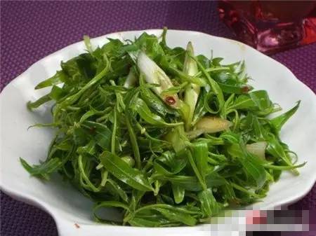 天津人可以吃的各种野菜图谱,天津吃货必须去的小吃