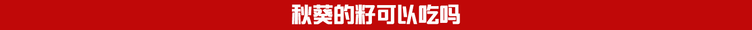 秋葵的籽能不能吃