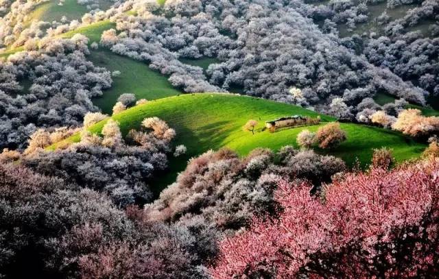 清明小长假出游提醒 (清明小长假微信消息)