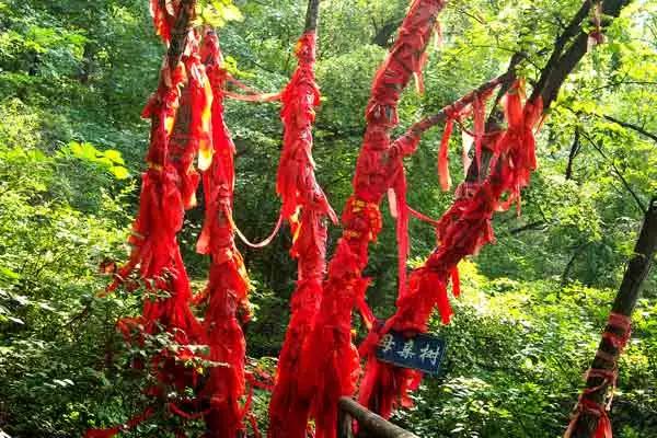 沐浴暖阳踏青,踏青走起