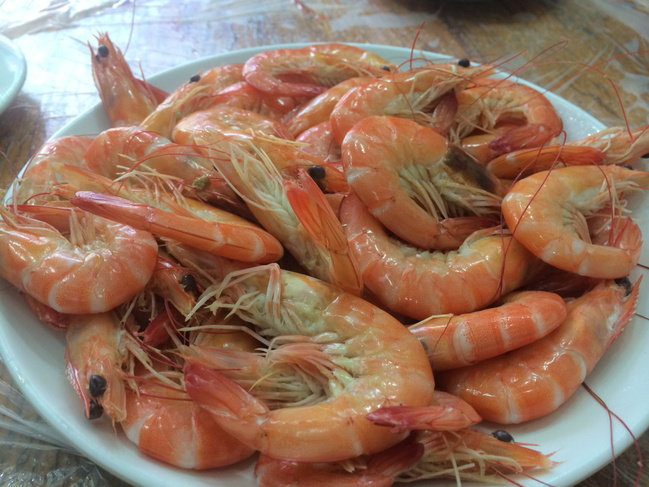 三亚结婚十周年蜜月,三亚旅游纪念日