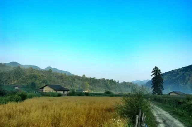 西安周末小众一日游,周末去哪玩西安市内