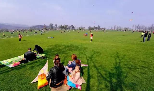 今年重庆的项目有哪些要新启动的,重庆有什么大工程项目