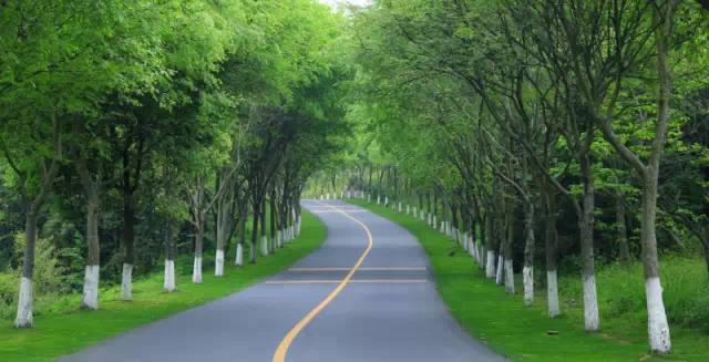 天目湖涵田度假酒店家庭房,天目湖涵田半岛温泉