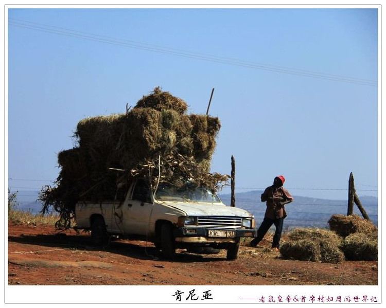 在这地方，“痞气痞气”“拨打拨打”“土客土客”的意思很有趣