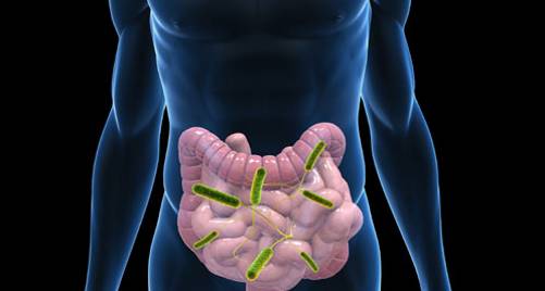 肠道放屁是身体发出的求救信号,老放屁有什么预兆