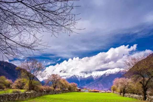 一封来自*藏西**的辞职信