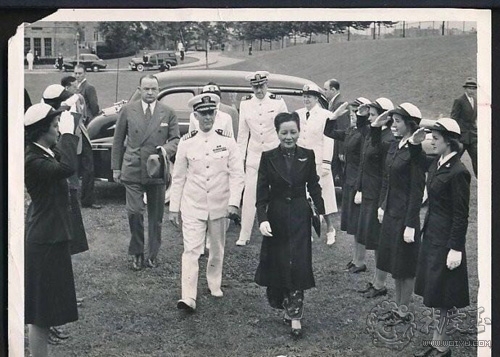 最好的红珊瑚是哪个,世界上最好的红珊瑚图片