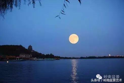 月圆夜，陪您过中秋