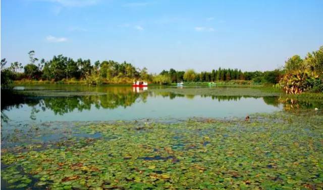 南昌公交最美沿途风景,最美公交路线南昌159