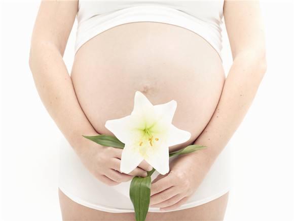 美宝之星,美宝之星怎么样