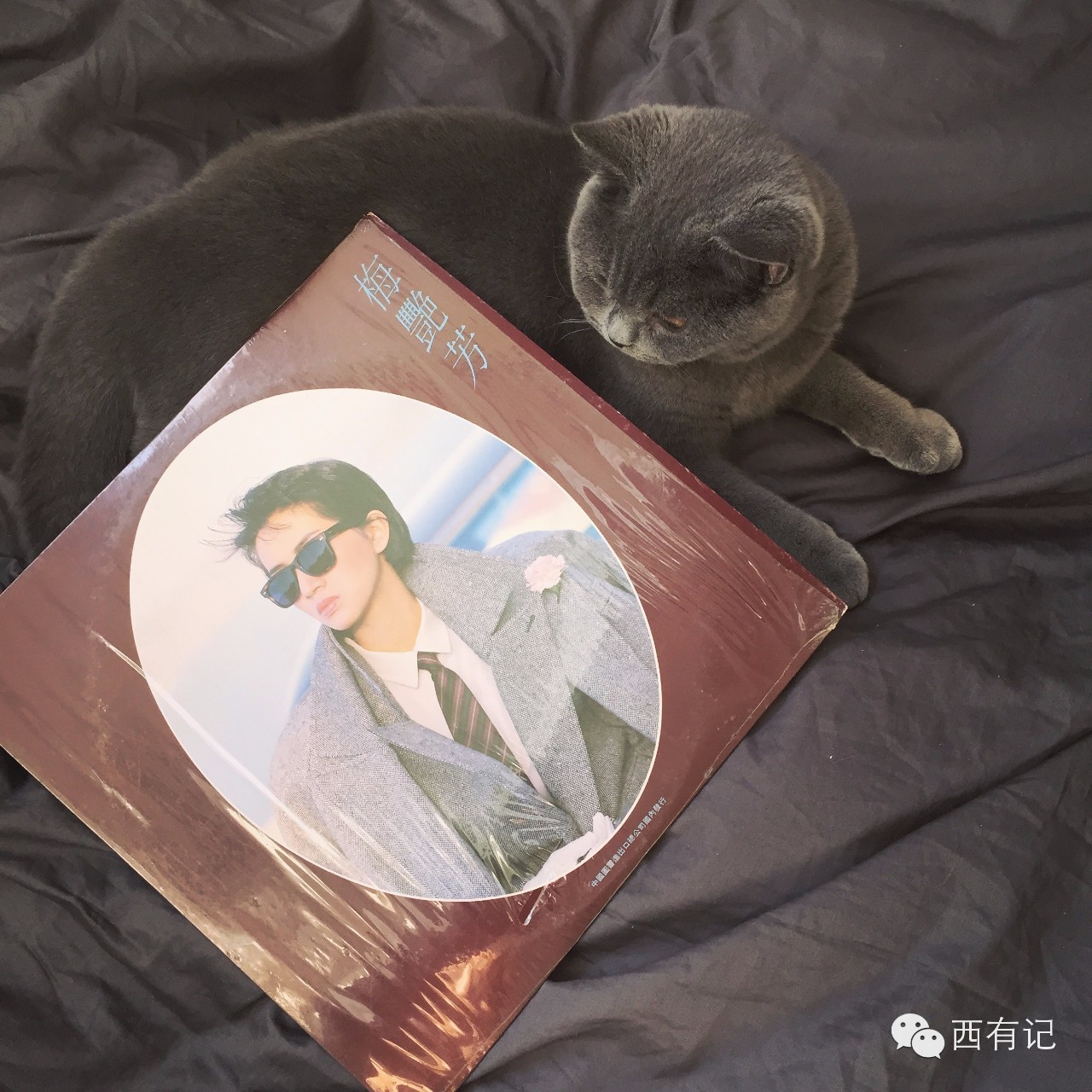 尊严着的虚荣：时尚女编辑的幕后生活