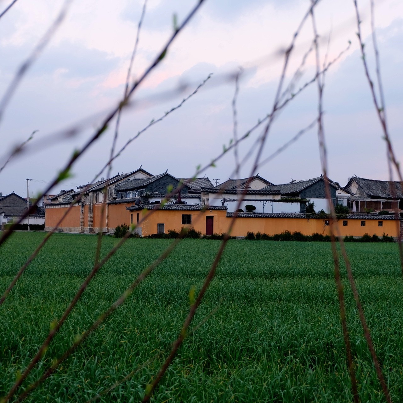 又到了动物们交配的季节，请站在宇宙中心用力呼唤爱！