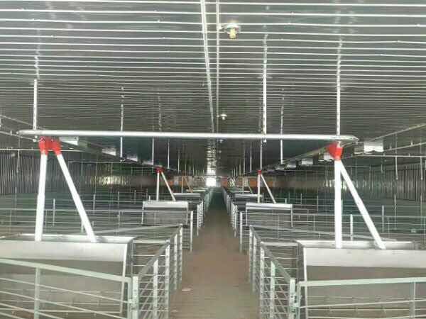 你以为你在外漂泊过得很好,其实你不知道老家的人有多少财产