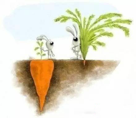 涂磊经典语录正能量人生感悟,涂磊经典语录人生感悟大全