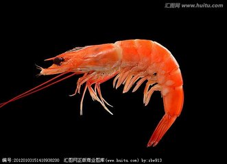 假冒的对虾,南美对虾冒充北极虾