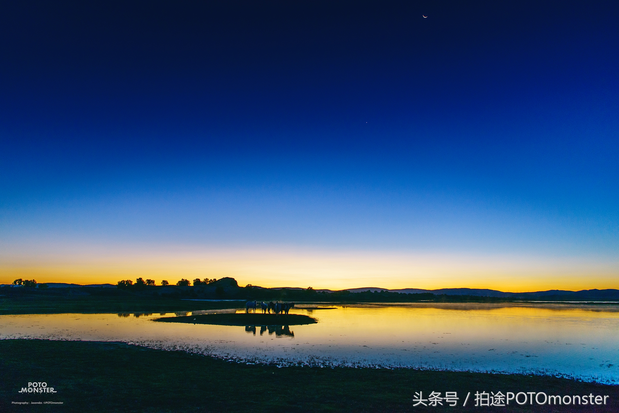 坝上草原奔马摄影作品,坝上草原拍奔马