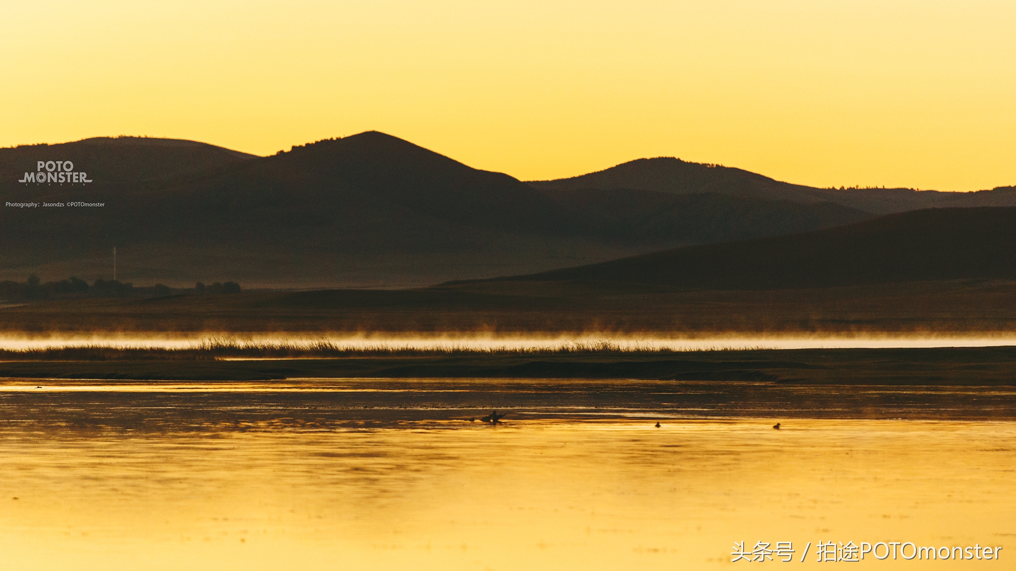坝上草原奔马摄影作品,坝上草原拍奔马
