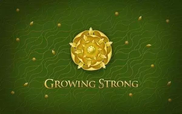 权力的游戏还会拍吗,权力的游戏有可能继续拍么