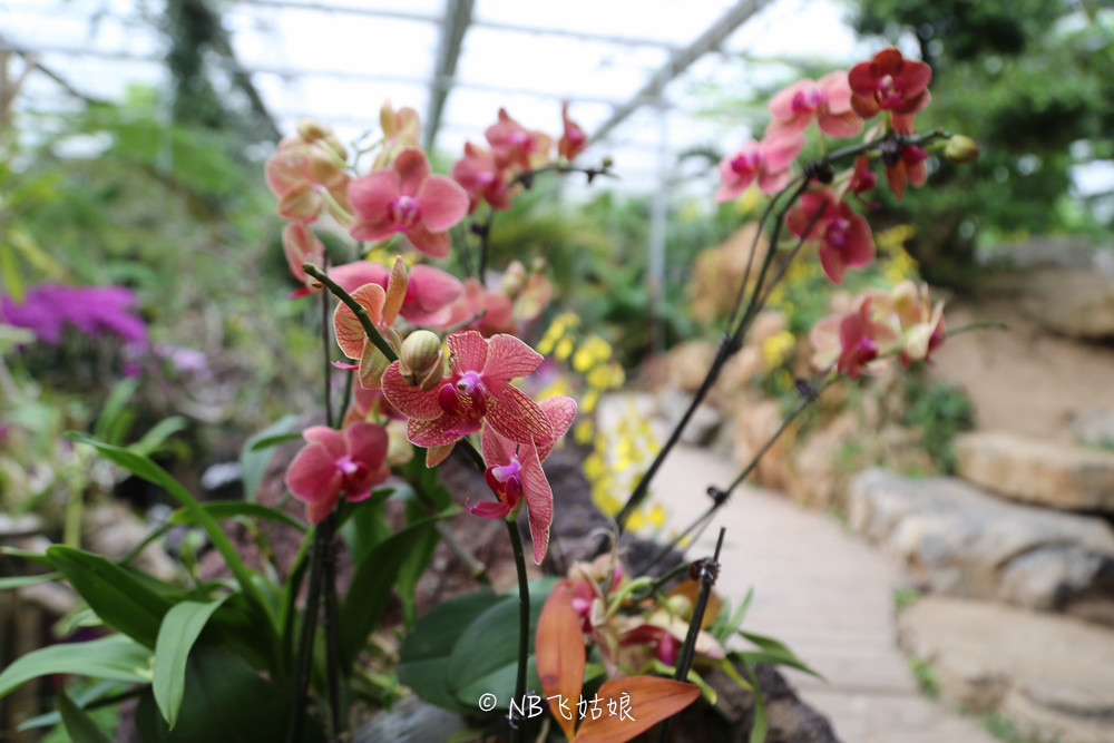 南通滨江公园亲子游,南通洲际绿博园有什么好玩的