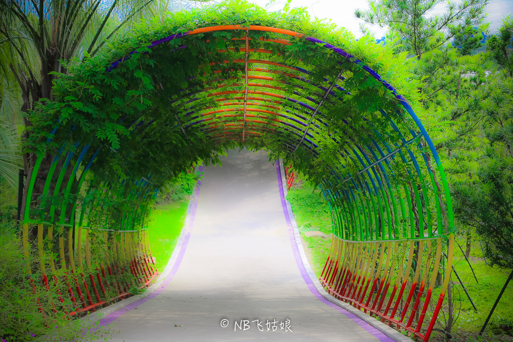 南通滨江公园亲子游,南通洲际绿博园有什么好玩的