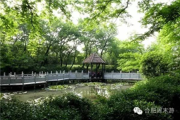 合肥玩的攻略,合肥游玩攻略刺激项目