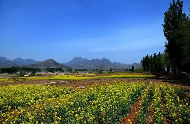 保定你竟然这么花!我真是看错你了!